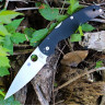 Нож SPYDERCO NATIVE CHIEF 244GP SC244GP